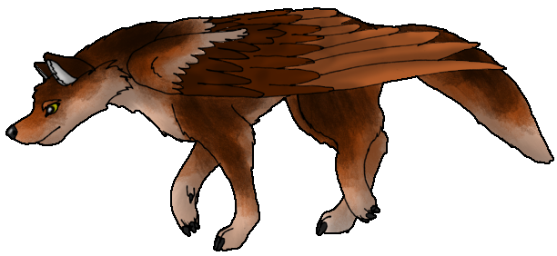 Red Sable Cardan